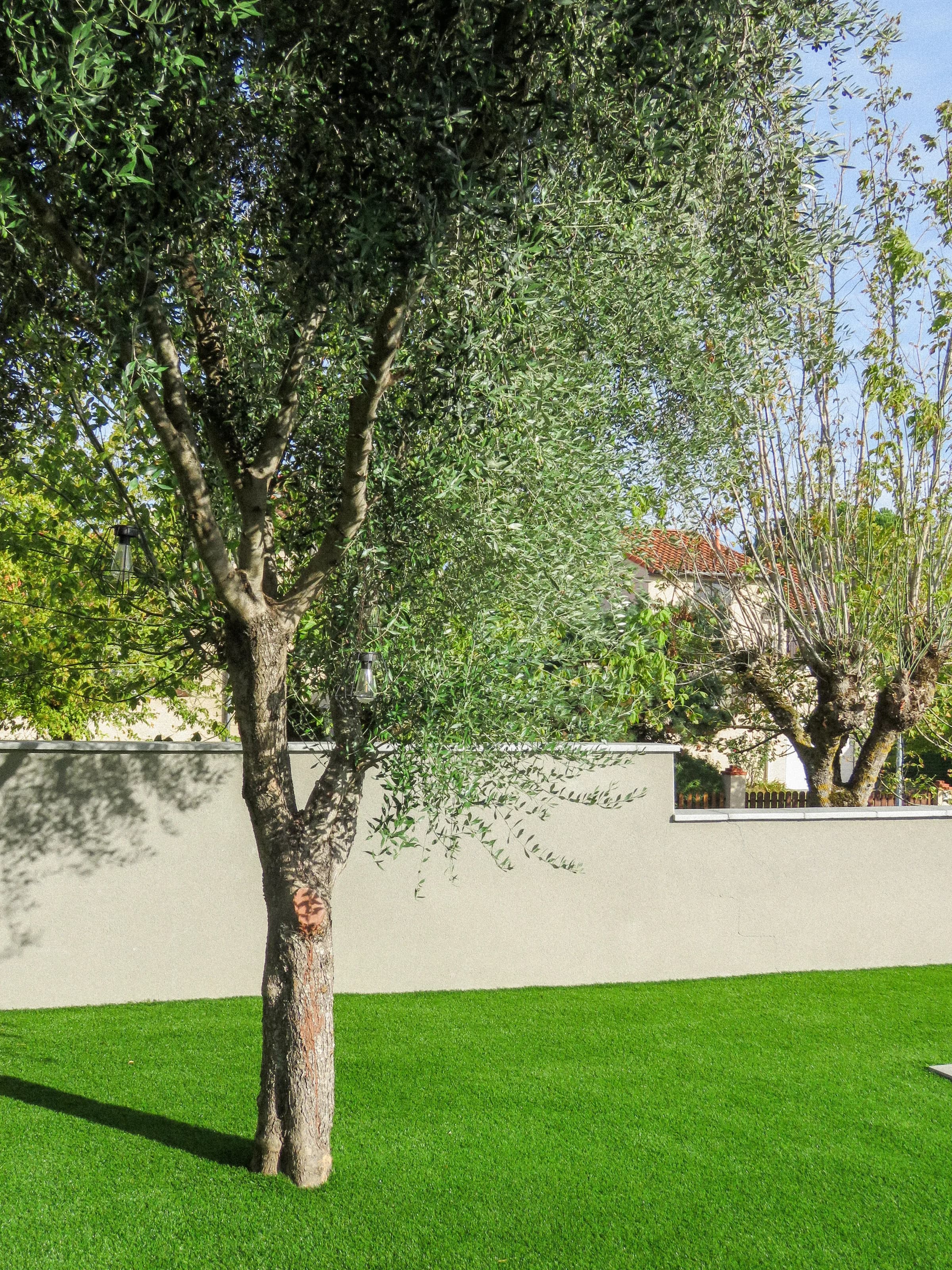 Terrasse et piscine — vue 3